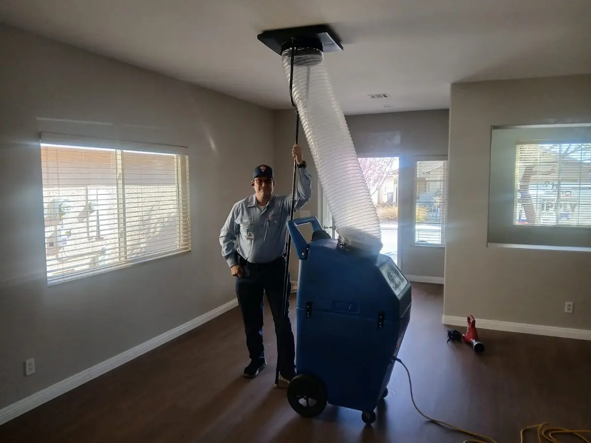 Professional Dryer Vent Cleaning work inside a Tupelo home